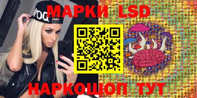 Альфа ПВП Жуковский